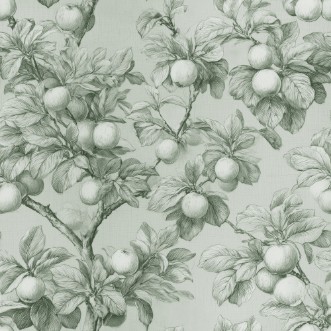 Bild på Benedikt Green - 1105201-04